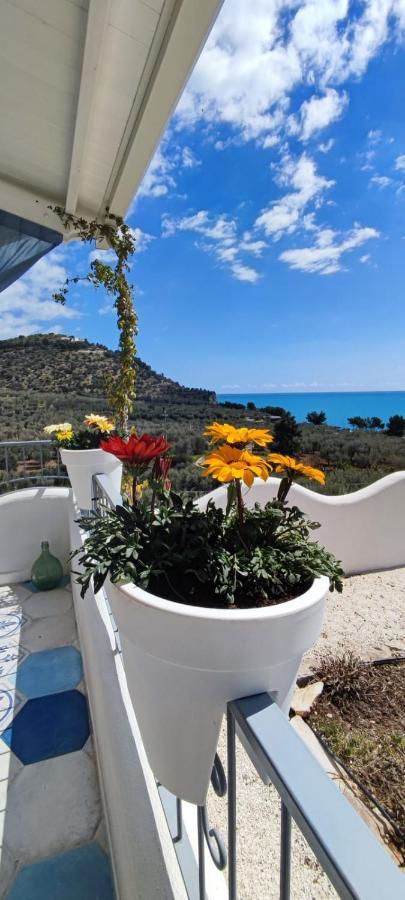 Bed and Breakfast Dimora Mediterranea Mattinata Exterior foto